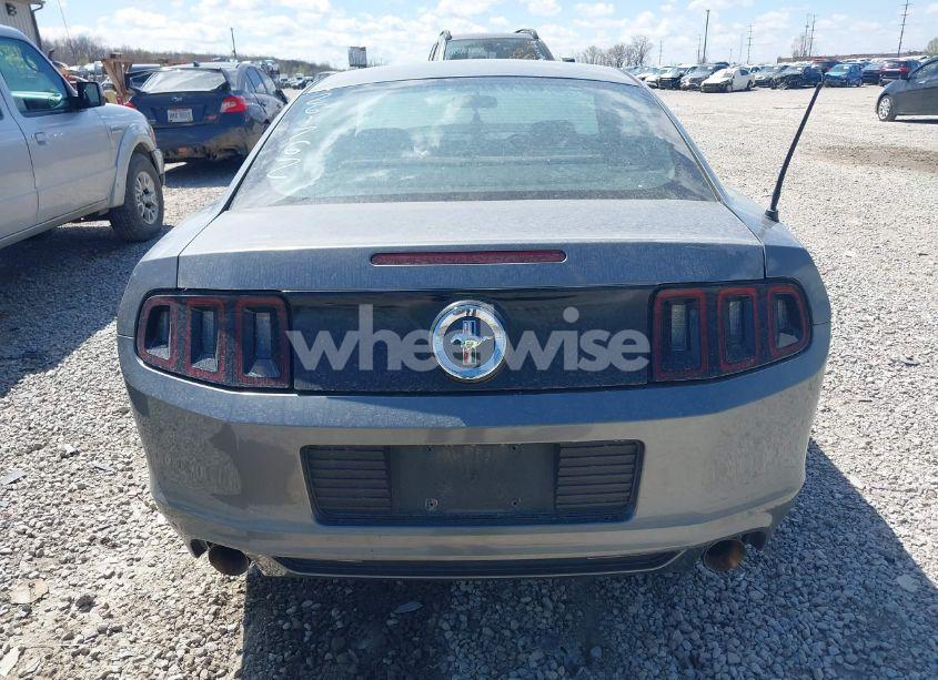 Photo 16 of 2013 Ford Mustang V6 (VIN 1ZVBP8AM1D5261762)