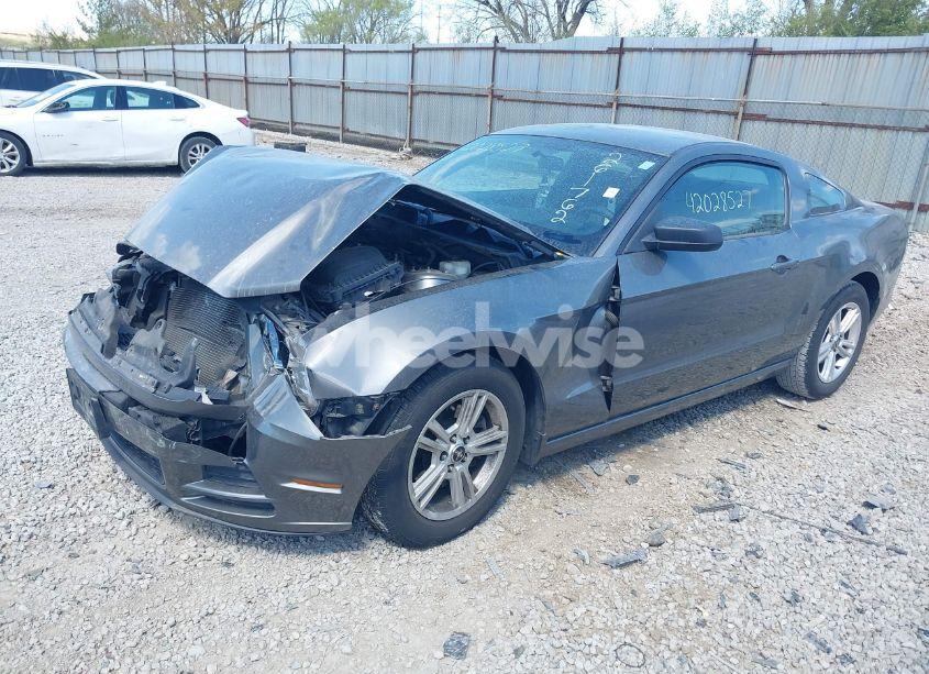 Photo 2 of 2013 Ford Mustang V6 (VIN 1ZVBP8AM1D5261762)