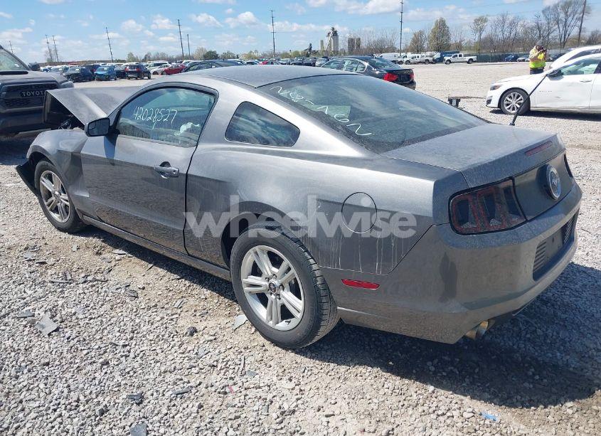 Photo 3 of 2013 Ford Mustang V6 (VIN 1ZVBP8AM1D5261762)