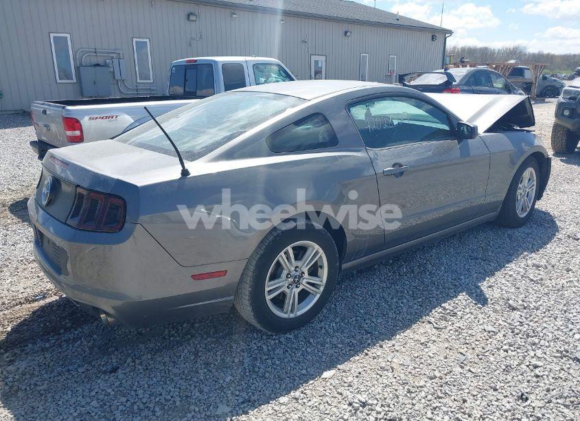 Photo 4 of 2013 Ford Mustang V6 (VIN 1ZVBP8AM1D5261762)