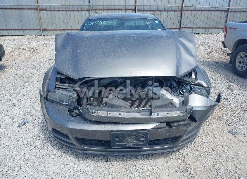 Photo 6 of 2013 Ford Mustang V6 (VIN 1ZVBP8AM1D5261762)