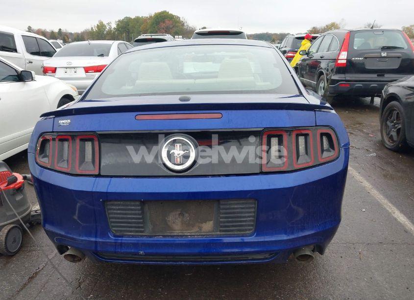 Photo 16 of 2013 Ford Mustang V6 PREMIUM (VIN 1ZVBP8AM1D5268274)
