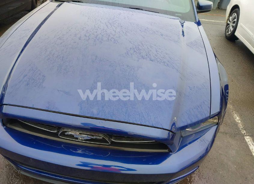 Photo 6 of 2013 Ford Mustang V6 PREMIUM (VIN 1ZVBP8AM1D5268274)