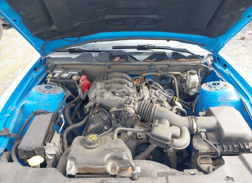 Photo 10 of 2013 Ford Mustang V6 PREMIUM (VIN 1ZVBP8AM1D5278643)