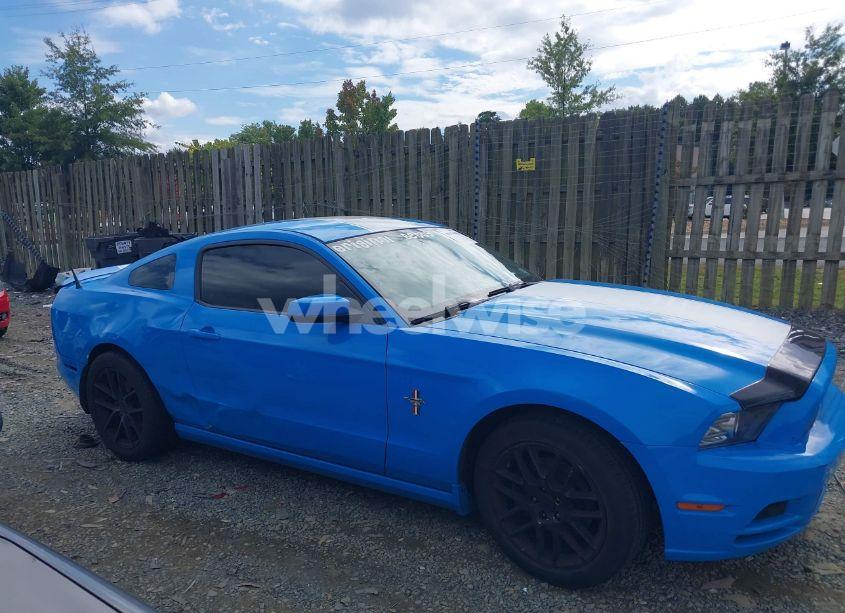 Photo 12 of 2013 Ford Mustang V6 PREMIUM (VIN 1ZVBP8AM1D5278643)