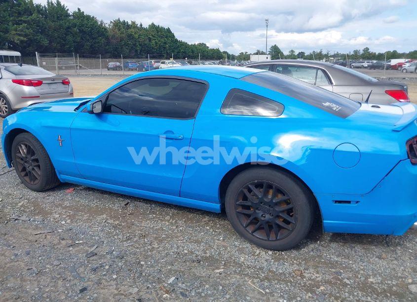 Photo 13 of 2013 Ford Mustang V6 PREMIUM (VIN 1ZVBP8AM1D5278643)