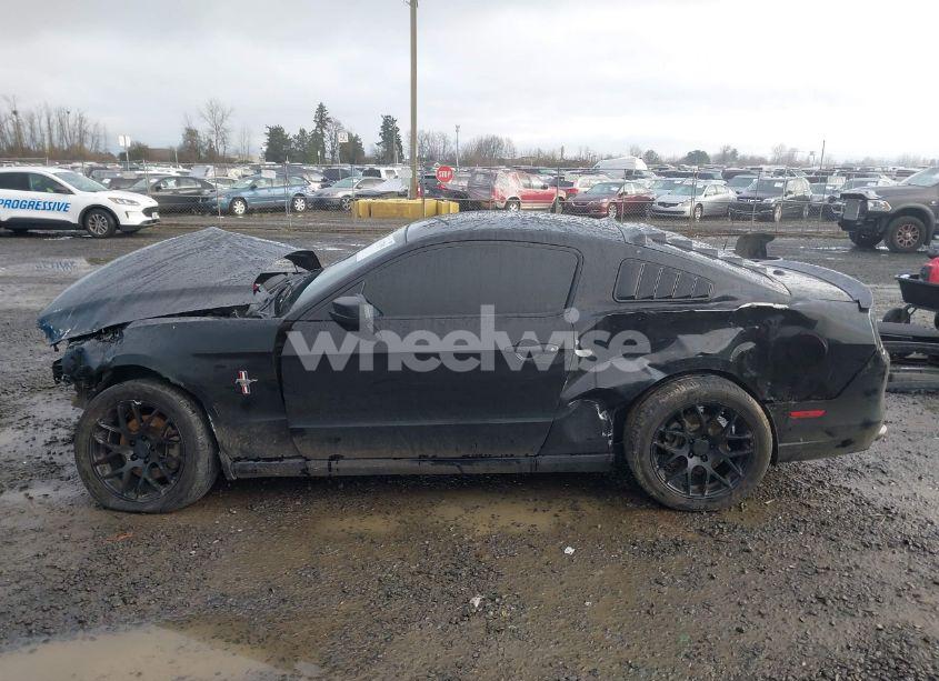 Photo 15 of 2014 Ford Mustang V6 PREMIUM (VIN 1ZVBP8AM1E5215463)