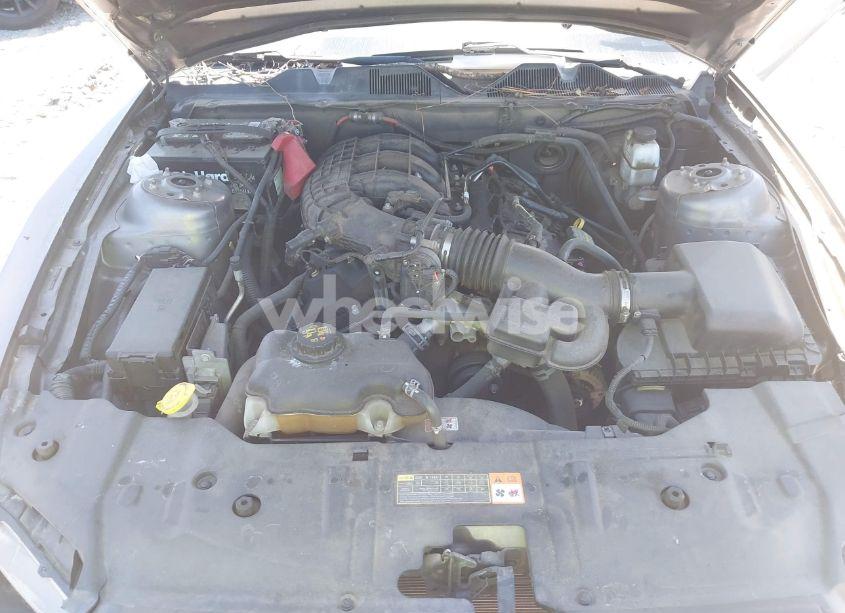 Photo 10 of 2014 Ford Mustang V6 (VIN 1ZVBP8AM1E5218928)