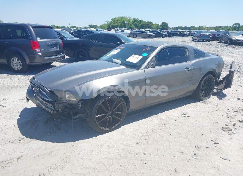 Photo 2 of 2014 Ford Mustang V6 (VIN 1ZVBP8AM1E5218928)
