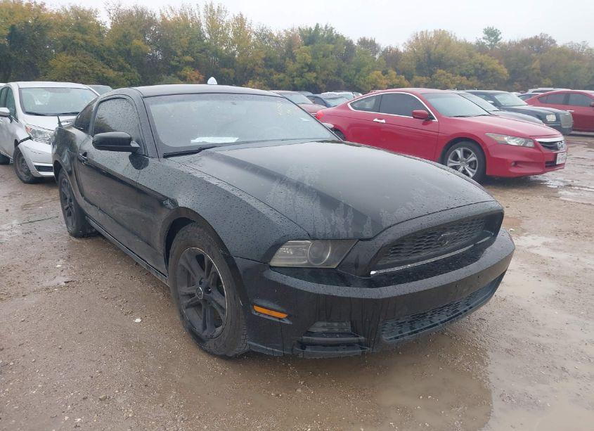 2014 Ford Mustang V6 PREMIUM (VIN 1ZVBP8AM1E5236555) main photo