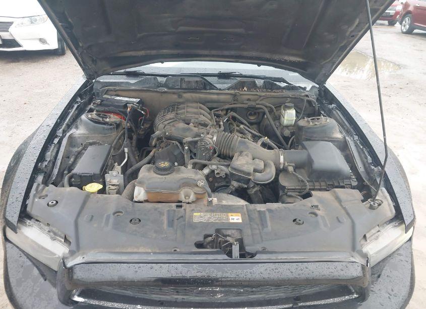 Photo 10 of 2014 Ford Mustang V6 PREMIUM (VIN 1ZVBP8AM1E5236555)
