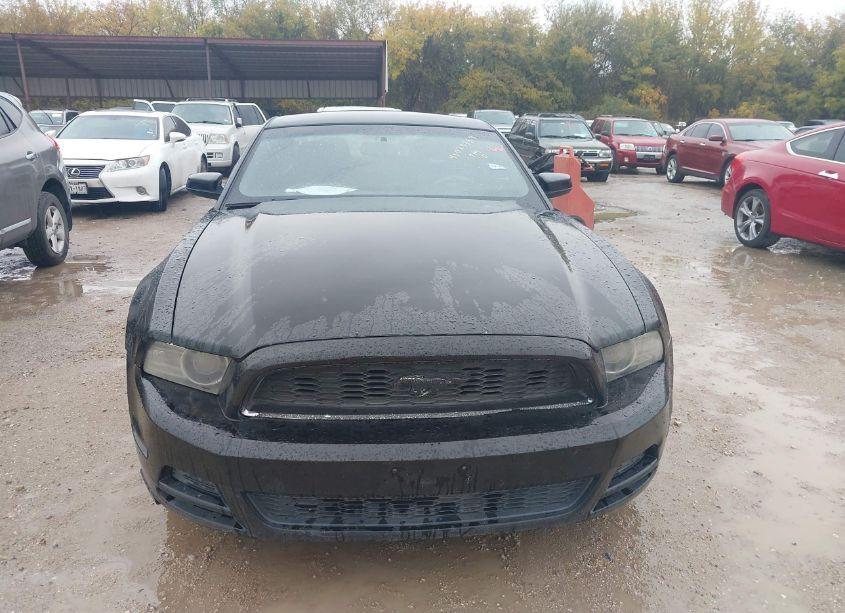 Photo 12 of 2014 Ford Mustang V6 PREMIUM (VIN 1ZVBP8AM1E5236555)