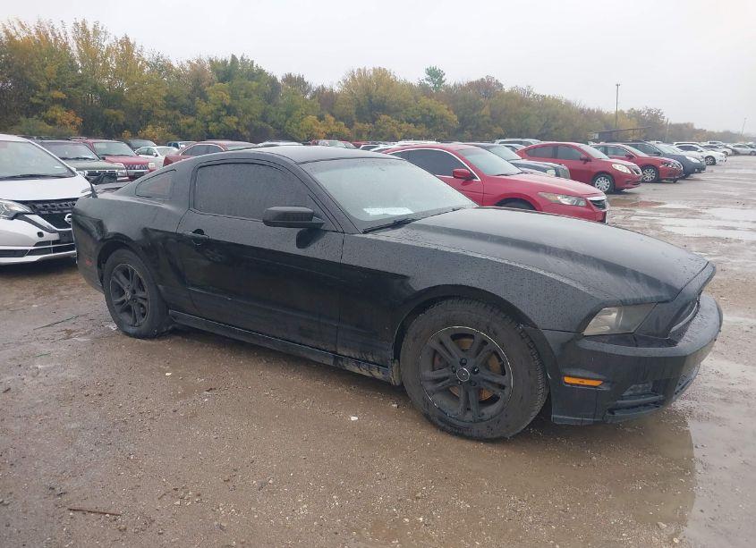 Photo 13 of 2014 Ford Mustang V6 PREMIUM (VIN 1ZVBP8AM1E5236555)