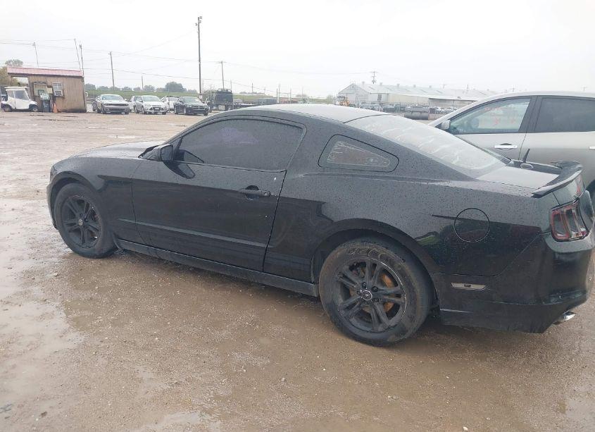 Photo 14 of 2014 Ford Mustang V6 PREMIUM (VIN 1ZVBP8AM1E5236555)