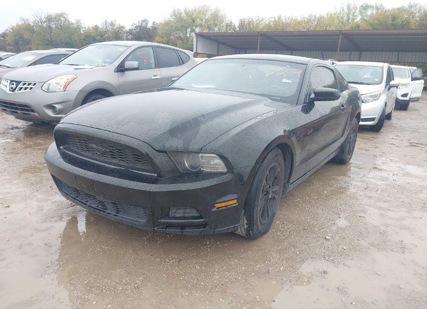 Photo 2 of 2014 Ford Mustang V6 PREMIUM (VIN 1ZVBP8AM1E5236555)