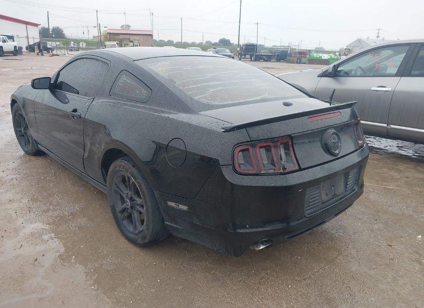 Photo 3 of 2014 Ford Mustang V6 PREMIUM (VIN 1ZVBP8AM1E5236555)