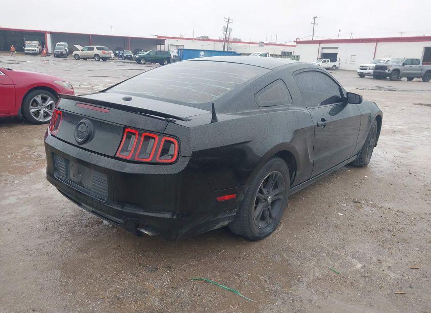 Photo 4 of 2014 Ford Mustang V6 PREMIUM (VIN 1ZVBP8AM1E5236555)
