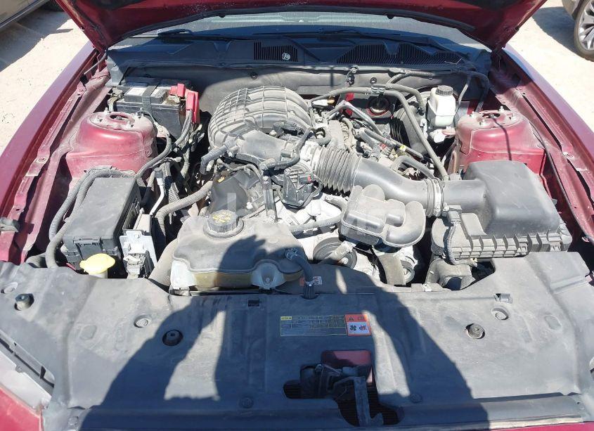 Photo 10 of 2014 Ford Mustang V6 (VIN 1ZVBP8AM1E5287988)