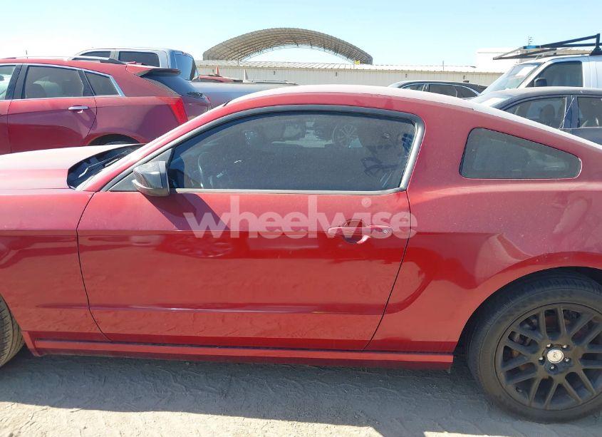 Photo 14 of 2014 Ford Mustang V6 (VIN 1ZVBP8AM1E5287988)