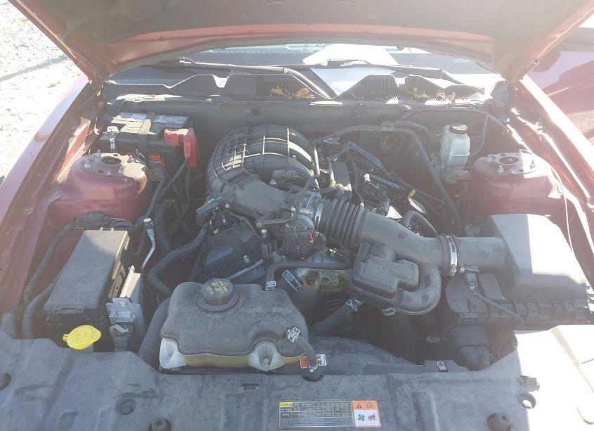 Photo 10 of 2014 Ford Mustang V6 (VIN 1ZVBP8AM1E5330497)