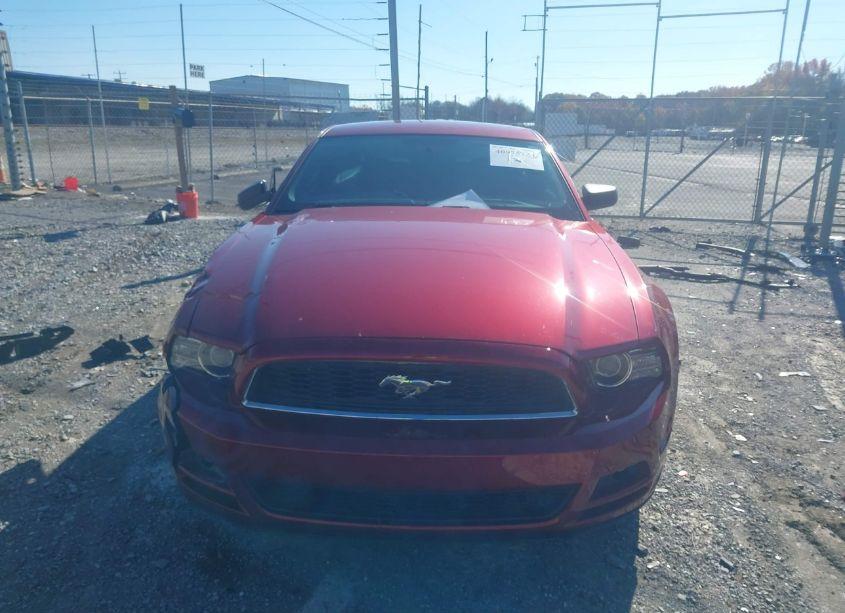 Photo 12 of 2014 Ford Mustang V6 (VIN 1ZVBP8AM1E5330497)