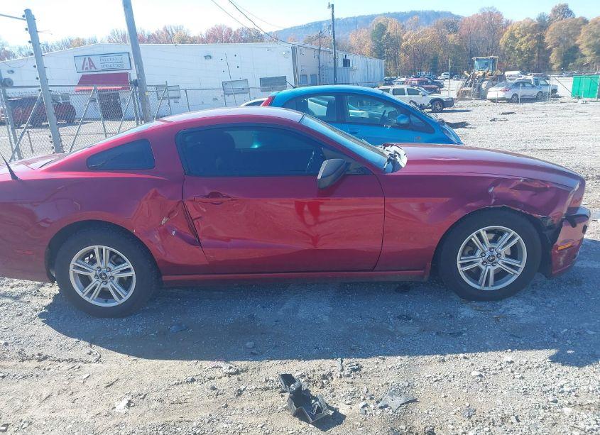 Photo 13 of 2014 Ford Mustang V6 (VIN 1ZVBP8AM1E5330497)