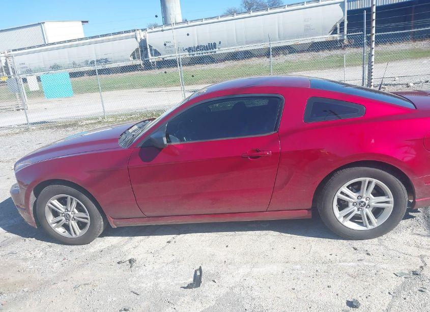 Photo 14 of 2014 Ford Mustang V6 (VIN 1ZVBP8AM1E5330497)