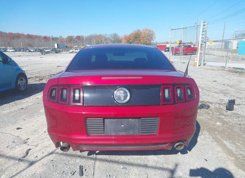 Photo 16 of 2014 Ford Mustang V6 (VIN 1ZVBP8AM1E5330497)