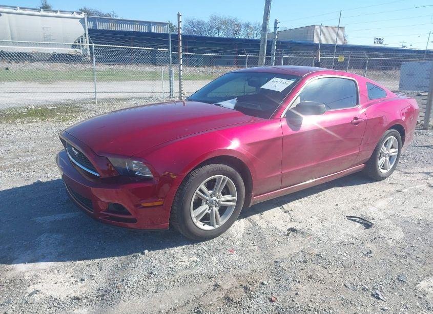 Photo 2 of 2014 Ford Mustang V6 (VIN 1ZVBP8AM1E5330497)