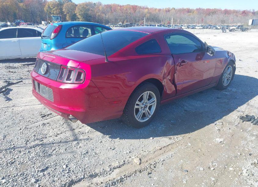 Photo 4 of 2014 Ford Mustang V6 (VIN 1ZVBP8AM1E5330497)