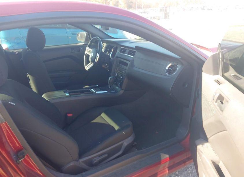 Photo 5 of 2014 Ford Mustang V6 (VIN 1ZVBP8AM1E5330497)