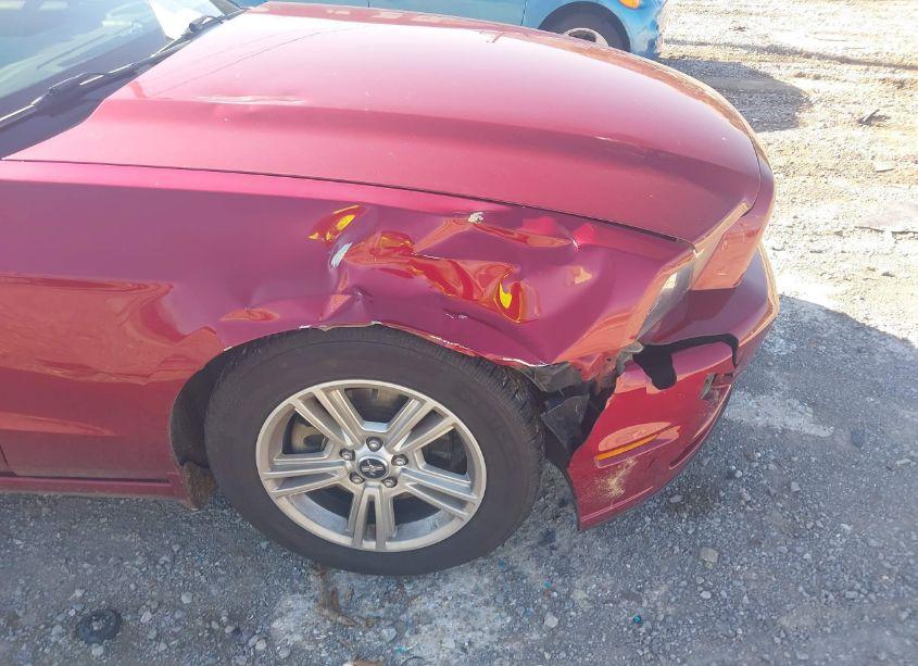 Photo 6 of 2014 Ford Mustang V6 (VIN 1ZVBP8AM1E5330497)