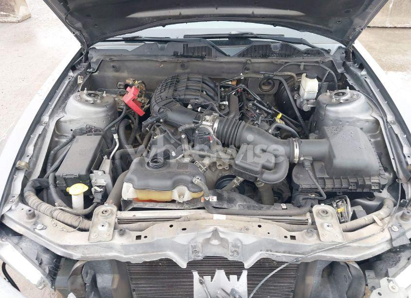 Photo 10 of 2011 Ford Mustang V6 (VIN 1ZVBP8AM2B5125492)