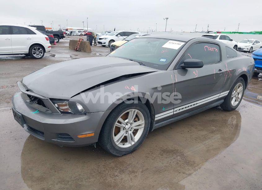 Photo 2 of 2011 Ford Mustang V6 (VIN 1ZVBP8AM2B5125492)