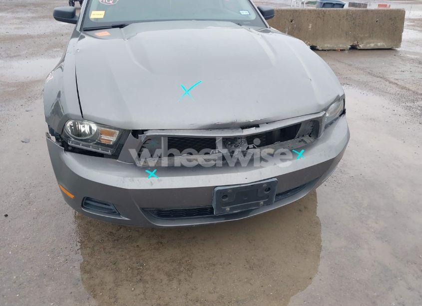 Photo 6 of 2011 Ford Mustang V6 (VIN 1ZVBP8AM2B5125492)