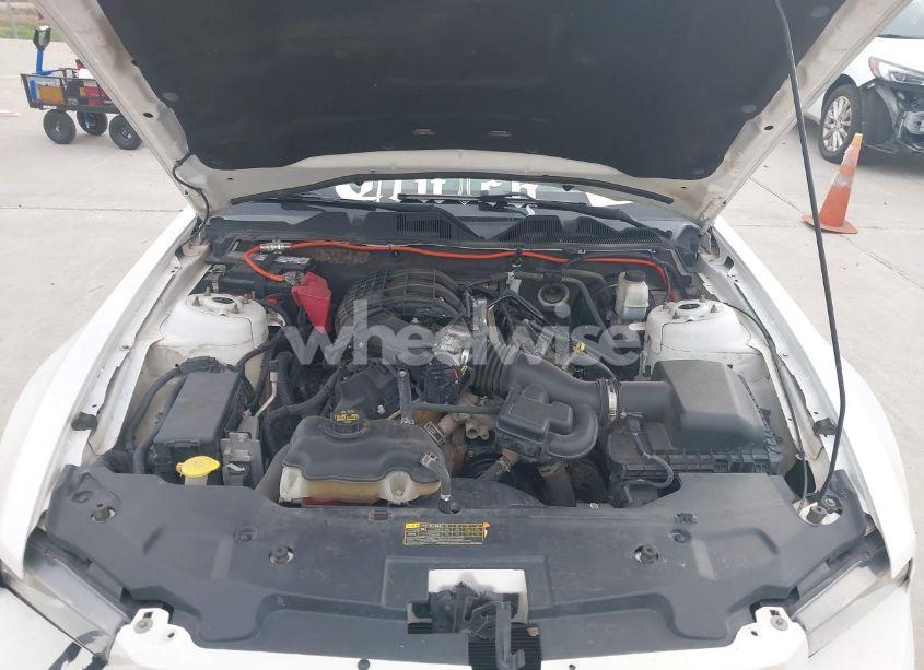 Photo 10 of 2011 Ford Mustang V6 PREMIUM (VIN 1ZVBP8AM2B5125508)