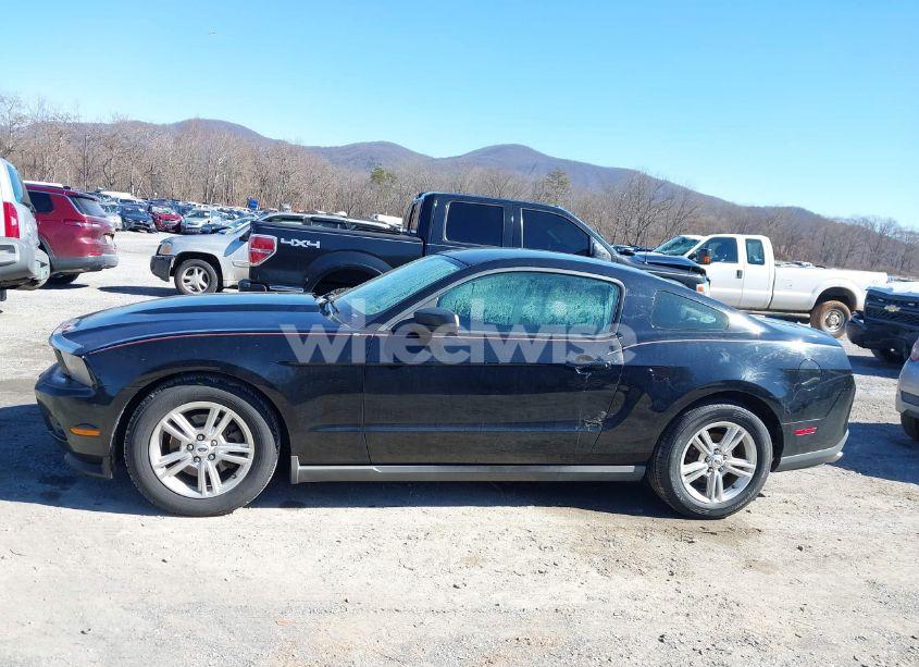 Photo 15 of 2011 Ford Mustang V6 (VIN 1ZVBP8AM2B5153163)