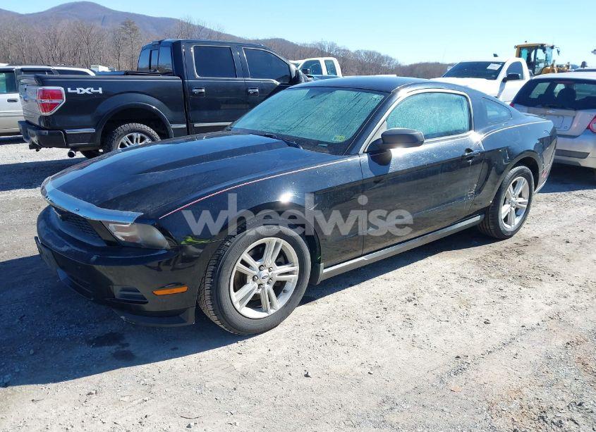 Photo 2 of 2011 Ford Mustang V6 (VIN 1ZVBP8AM2B5153163)