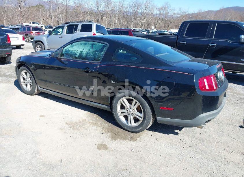 Photo 3 of 2011 Ford Mustang V6 (VIN 1ZVBP8AM2B5153163)