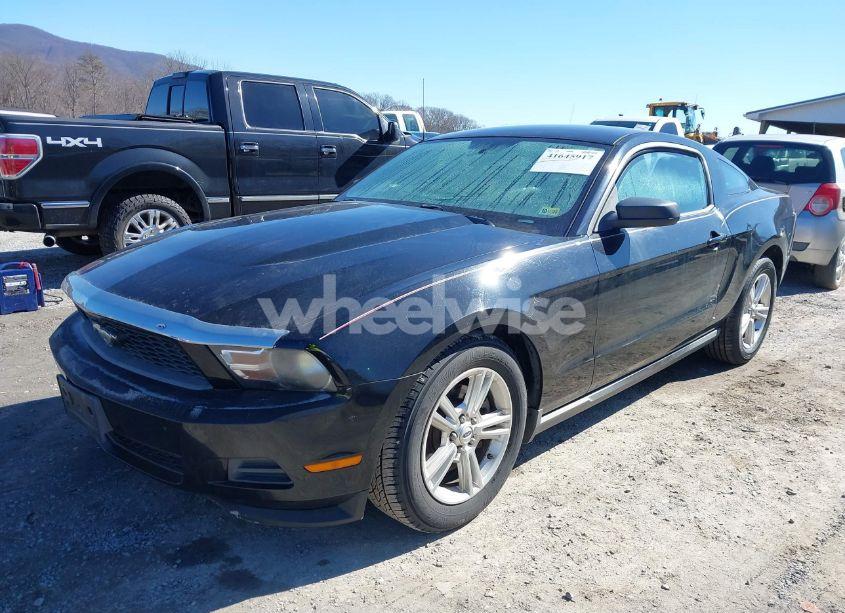Photo 6 of 2011 Ford Mustang V6 (VIN 1ZVBP8AM2B5153163)