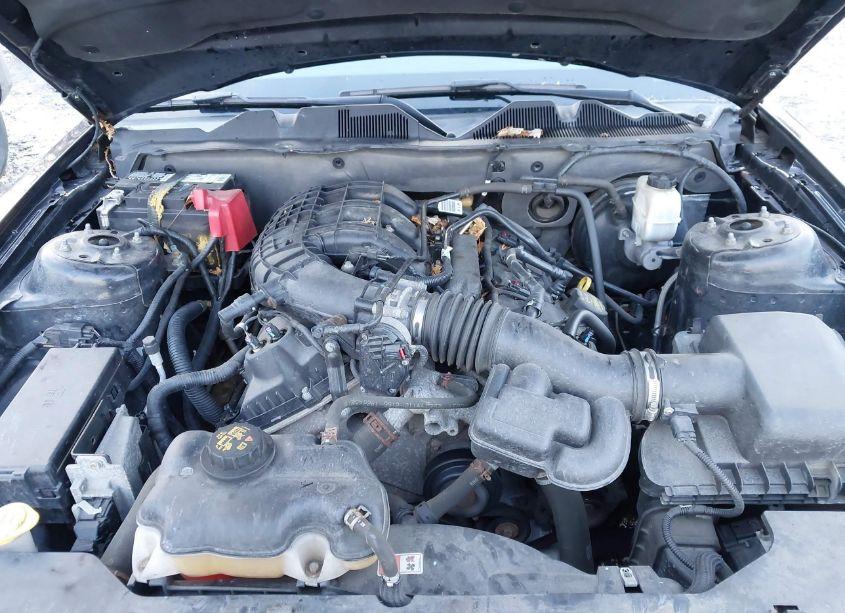 Photo 10 of 2012 Ford Mustang V6 PREMIUM (VIN 1ZVBP8AM2C5258125)