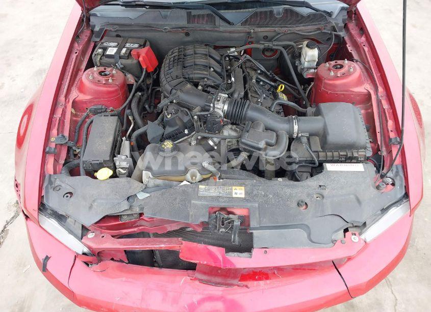 Photo 10 of 2012 Ford Mustang V6 PREMIUM (VIN 1ZVBP8AM2C5269495)