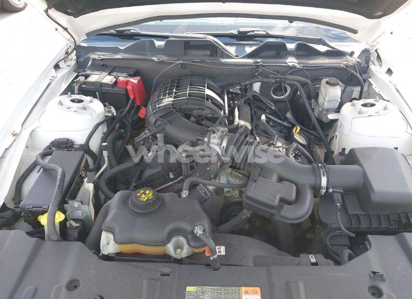 Photo 10 of 2013 Ford Mustang V6 PREMIUM (VIN 1ZVBP8AM2D5250074)