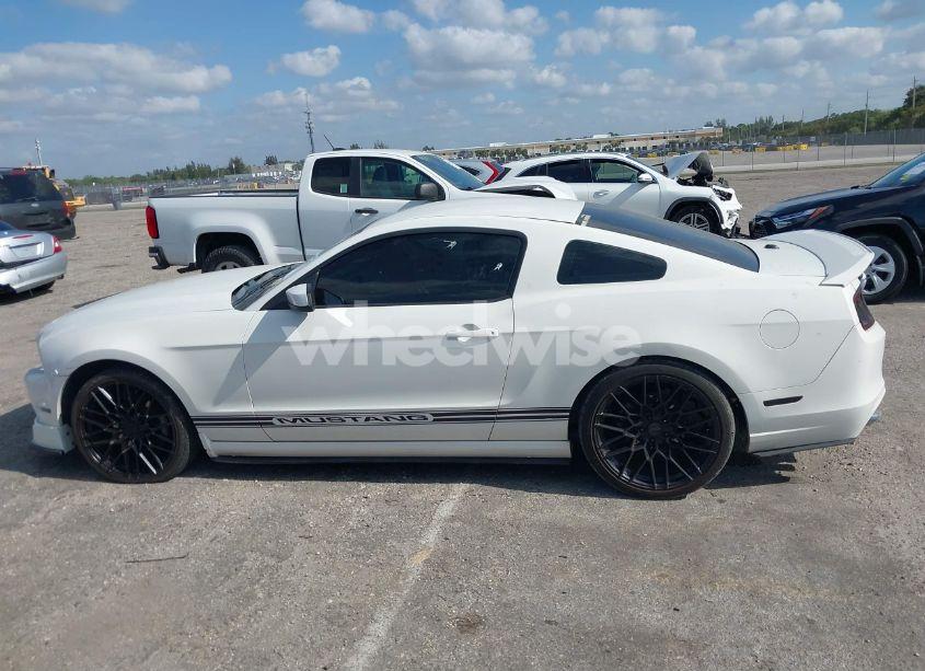 Photo 14 of 2013 Ford Mustang V6 PREMIUM (VIN 1ZVBP8AM2D5250074)