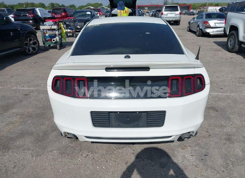 Photo 16 of 2013 Ford Mustang V6 PREMIUM (VIN 1ZVBP8AM2D5250074)