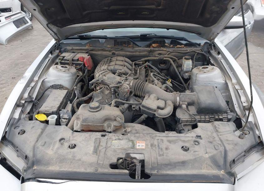 Photo 10 of 2013 Ford Mustang V6 PREMIUM (VIN 1ZVBP8AM2D5278943)