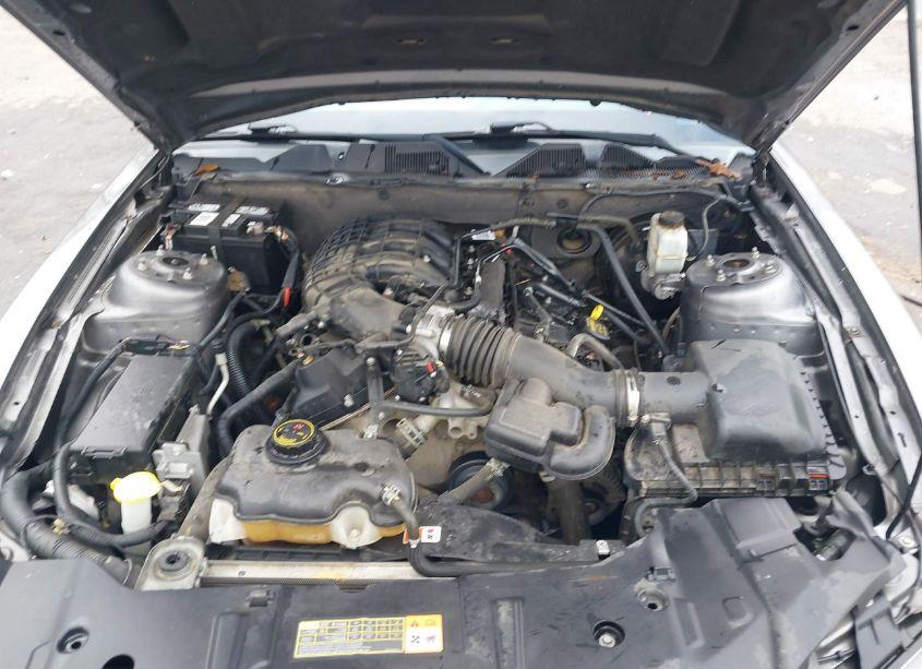 Photo 10 of 2014 Ford Mustang V6 PREMIUM (VIN 1ZVBP8AM2E5201328)