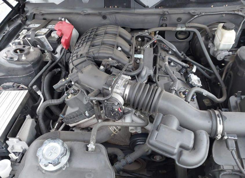 Photo 10 of 2014 Ford Mustang N/A (VIN 1ZVBP8AM2E5257947)