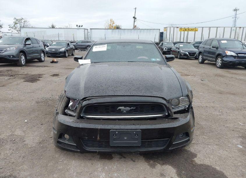 Photo 12 of 2014 Ford Mustang N/A (VIN 1ZVBP8AM2E5257947)