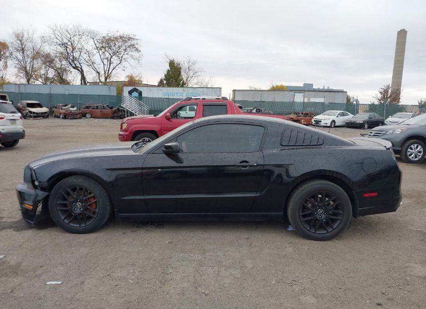 Photo 14 of 2014 Ford Mustang N/A (VIN 1ZVBP8AM2E5257947)